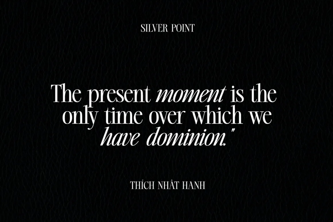 Silver Point–Elegant Editorial Serif