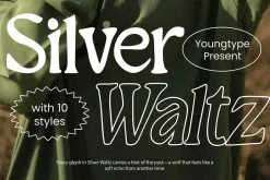 Silver Waltz