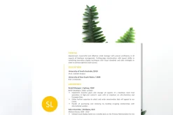 Simple Resume / CV / Cover Letter