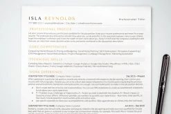 Simple Resume Template ATS Friendly