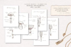 Sketchbook Journal Vol. 1 & 2 Bundle
