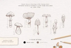 Sketchbook Journal Vol. 1 & 2 Bundle