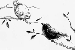 Sketch Brushes for Procreate