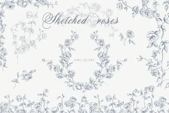 Sketched roses clipart collection