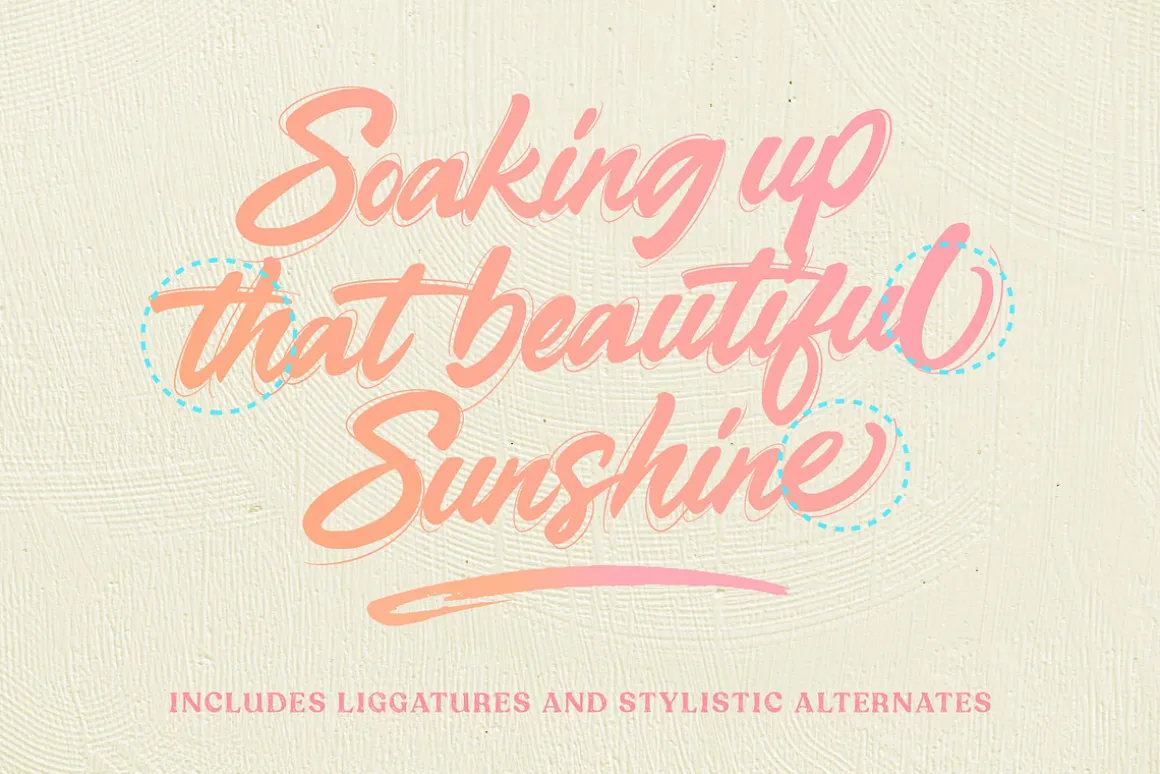 Skyline Script Font Collection