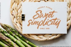 Skyline Script Font Collection