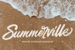 Skyline Script Font Collection
