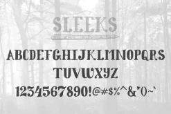 Sleeks Bold Serif, Hand-Drawn TTF