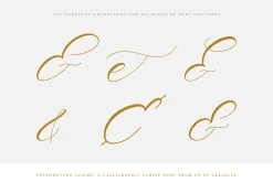 Slight, A Calligraphy Font
