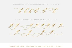 Slight, A Calligraphy Font