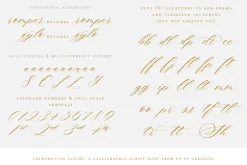Slight, A Calligraphy Font