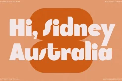 SLTF Tight Flight - Bold Funky Font