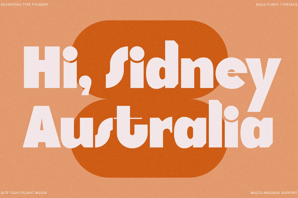 SLTF Tight Flight - Bold Funky Font