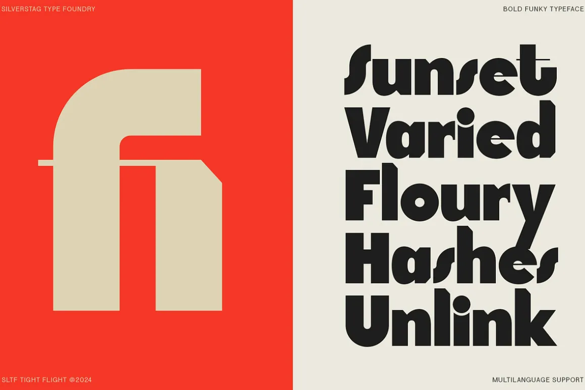 SLTF Tight Flight - Bold Funky Font
