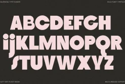 SLTF Tight Flight - Bold Funky Font