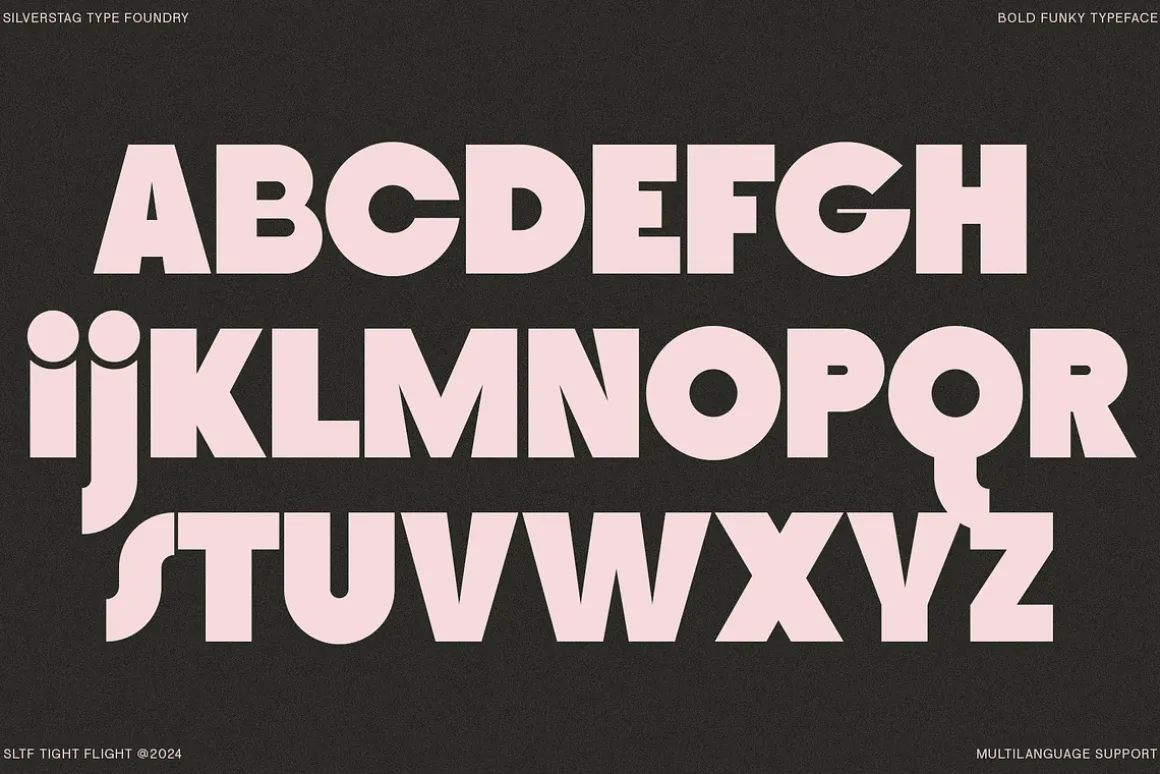 SLTF Tight Flight - Bold Funky Font