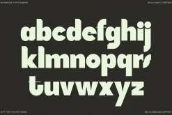SLTF Tight Flight - Bold Funky Font