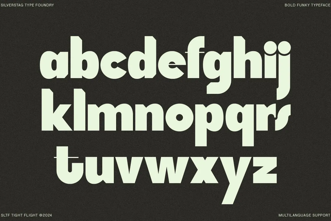 SLTF Tight Flight - Bold Funky Font