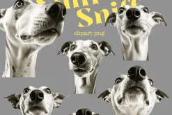 Sniff-Sniff