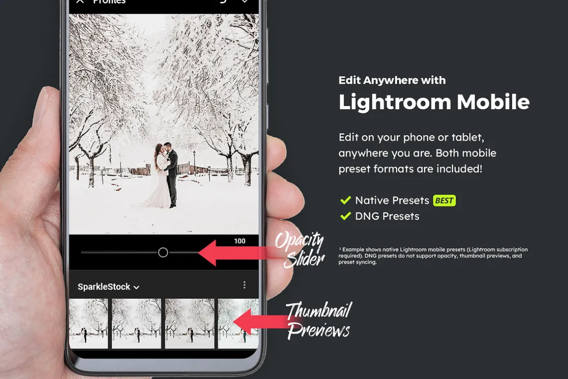 20 Snowscape Lightroom Presets & LUT