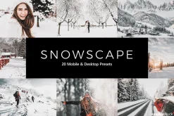 20 Snowscape Lightroom Presets & LUT