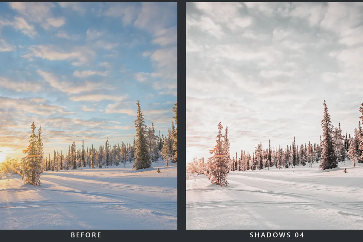 20 Snowscape Lightroom Presets & LUT