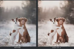 20 Snowscape Lightroom Presets & LUT