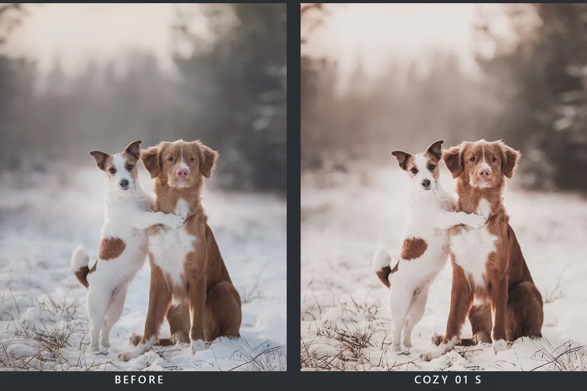 20 Snowscape Lightroom Presets & LUT