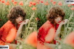 Soft Blossom Lightroom Presets