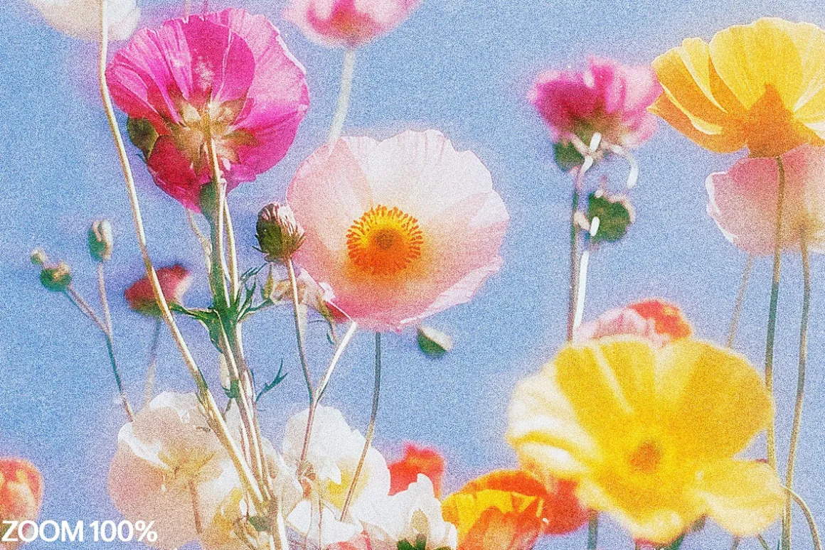 Soft Glow Photo Effect