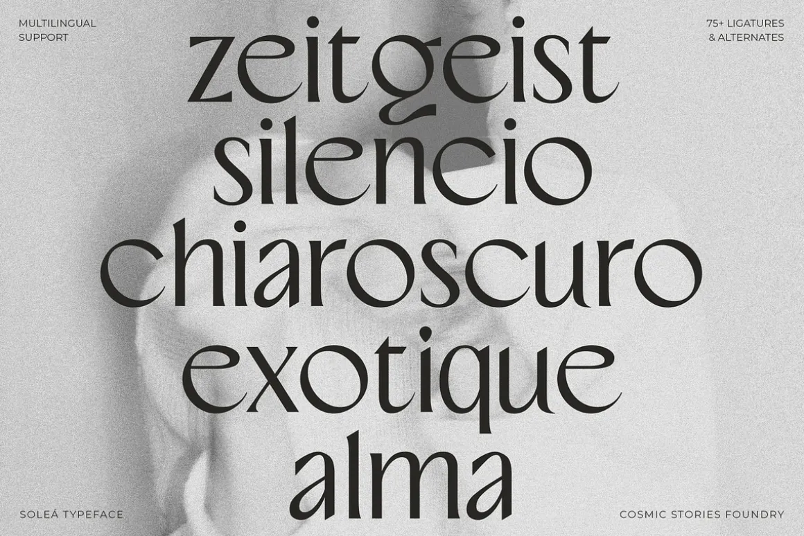 Soleá - Sophisticated & Modern Sans