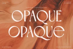 Soleá - Sophisticated & Modern Sans