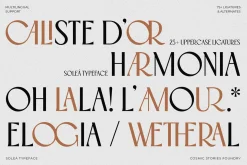 Soleá - Sophisticated & Modern Sans
