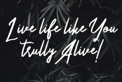 Something Cool – Font Duo Free Sans