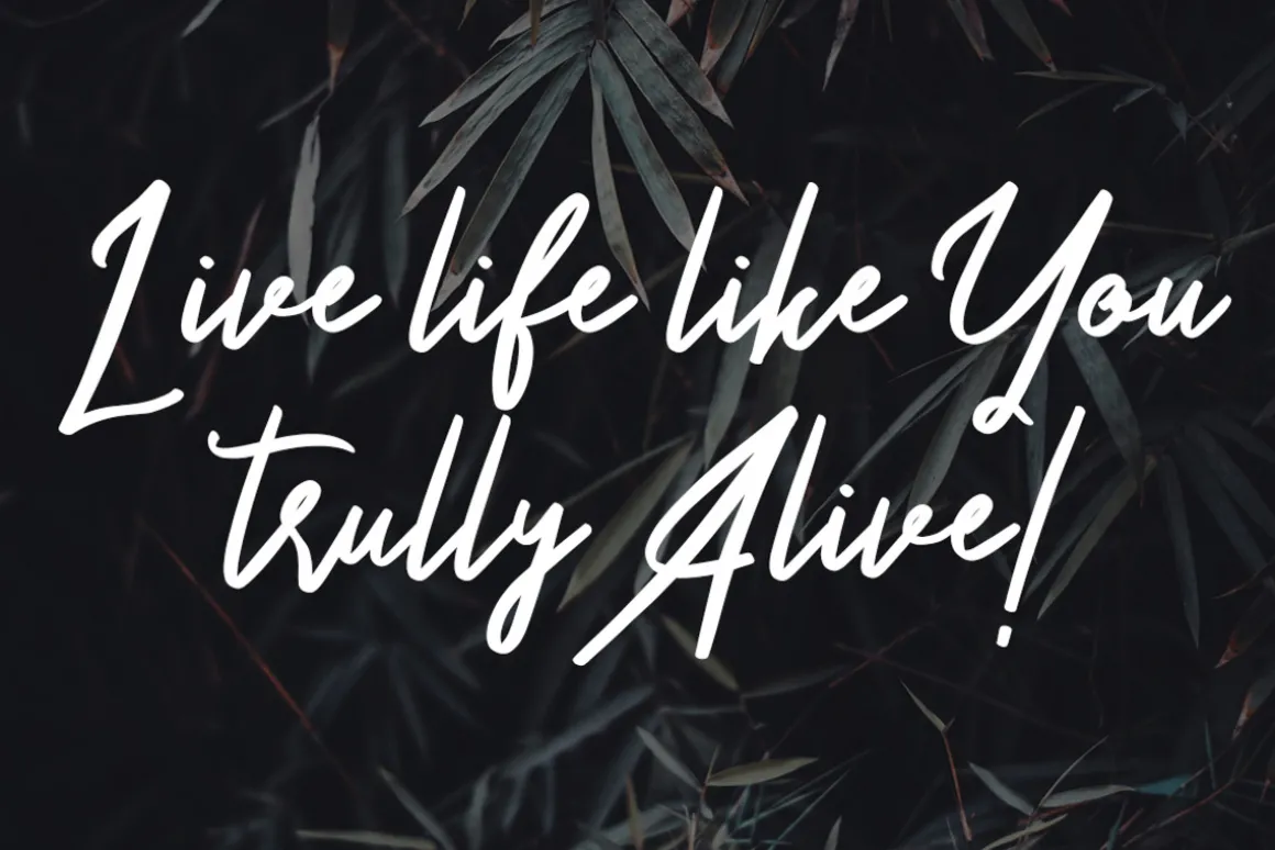 Something Cool – Font Duo Free Sans