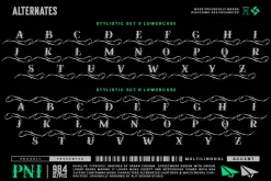 Soullar Typeface