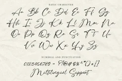 Southwest Partisan Handwriting Font