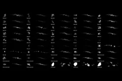Space Brush Set