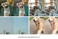 Sparkling Lightroom Presets Mobile