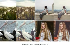 Sparkling Lightroom Presets Mobile