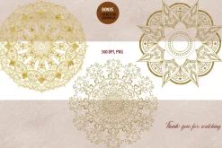 Spices and Kitchenware clipart