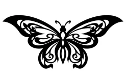 Spiritual Insect Symbol Design