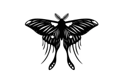 Spiritual Insect Symbol Design