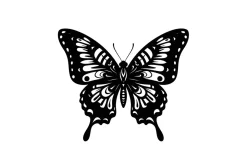 Spiritual Insect Symbol Design