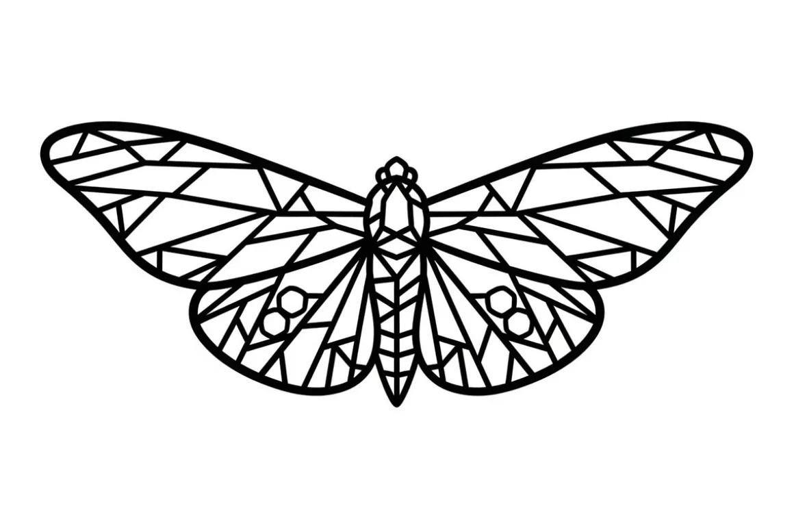 Spiritual Insect Symbol Design