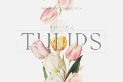 Spring Into Summer Bundle