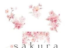 Spring Into Summer Bundle