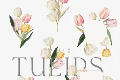 Spring Into Summer Bundle