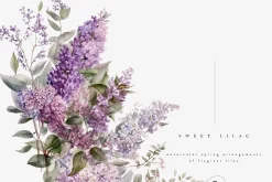 Spring Into Summer Bundle