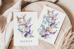 Spring Into Summer Bundle